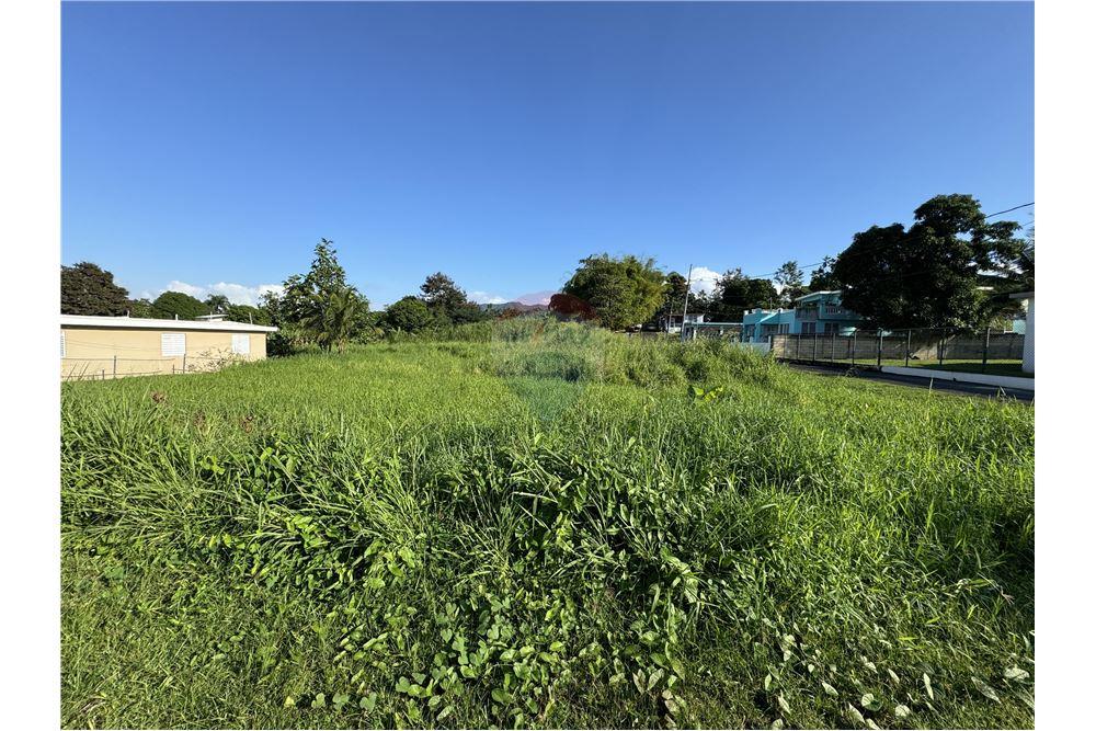 Lote - Venta - Juncos, Juncos, Puerto Rico - 4 - 90102046-19