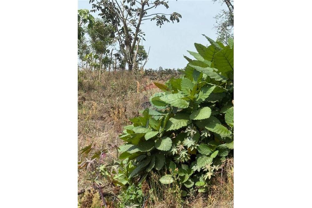 Land - For Sale - San Pedro Las Huertas, Sacatepéquez, Guatemala - 2 - 90129001-376