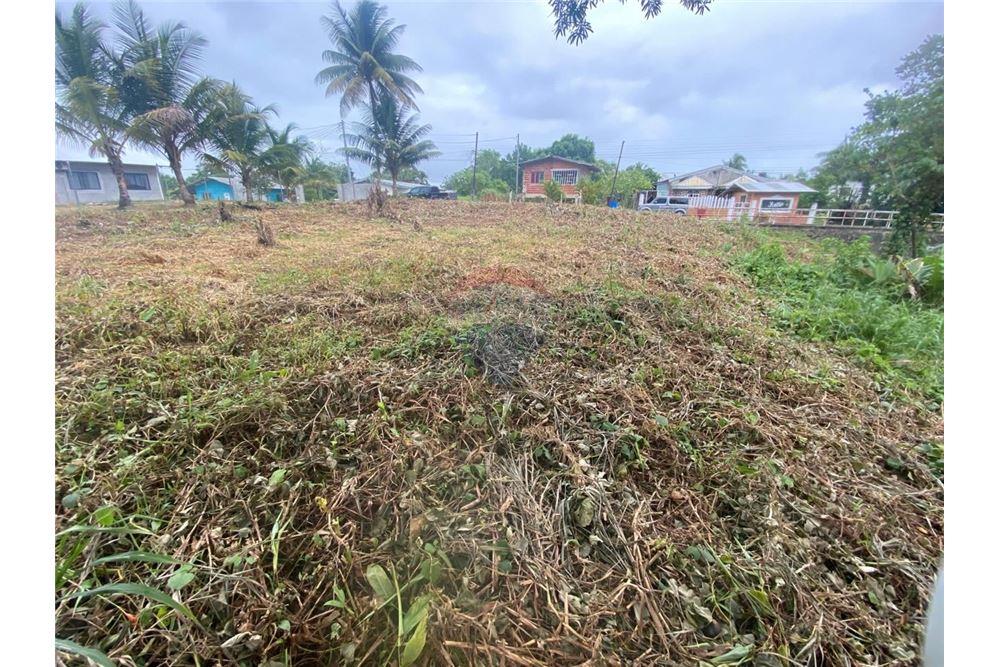 Lote - Venta - Sangre Grande, Saint Andrew, Trinidad and Tobago - 12 - 90155109-184