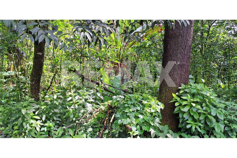 Land - For Sale - Santa Elena Barillas, Guatemala, Guatemala - 10 - 902091017-26