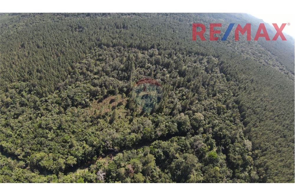 Lote - Venta - Poptún, Petén, Guatemala - 4 - 902691018-30