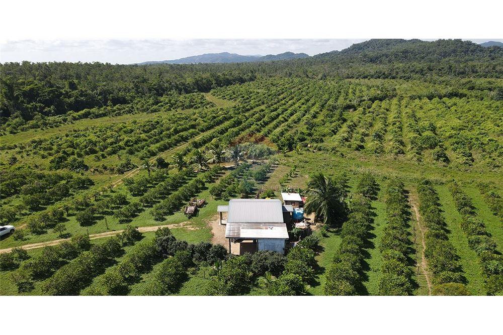 Sale of Business - For Sale - Silk Grass, Stann Creek District, Belize - 4 - 901911013-62