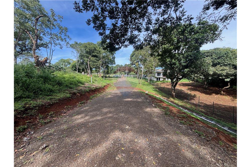 Land - For Sale - Atenas, Alajuela- Atenas, Costa Rica - 1 - 90128002-974