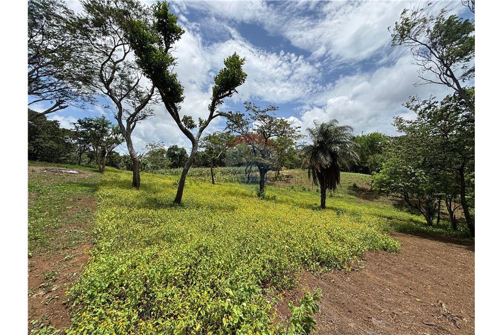 Lote - Venta - Dolores, Carazo, Nicaragua - 5 - 902521001-24