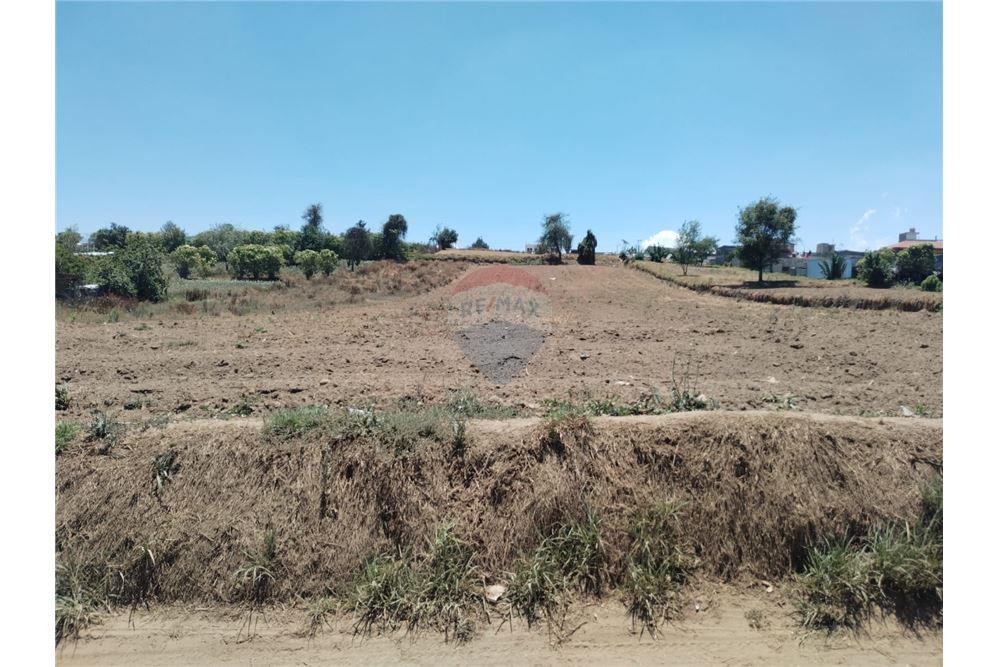 Land - For Sale - Quetzaltenango, Quetzaltenango, Guatemala - 2 - 901011001-28