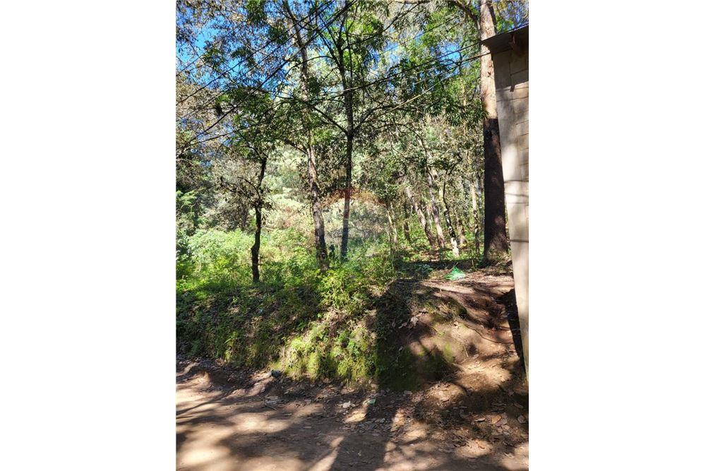 Land - For Sale - San Juan Sacatepéquez, Guatemala, Guatemala - 2 - 902691005-31