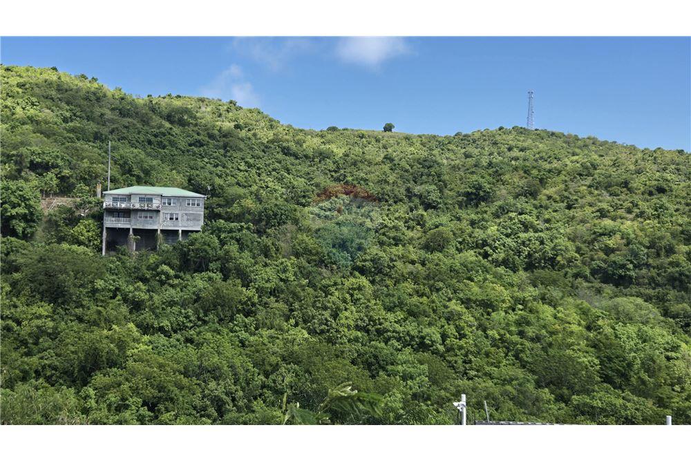 Lote - Venta - Mount Welcome Estate, St Croix, Islas Vírgenes Británicas - 3 - 90123001-1313