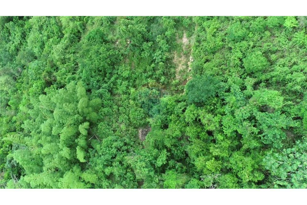 Land - For Sale - Stony Hill, Saint Andrew, Jamaica - 1 - 901321004-3