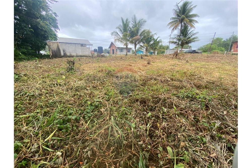 Lote - Venta - Sangre Grande, Saint Andrew, Trinidad and Tobago - 6 - 90155109-184
