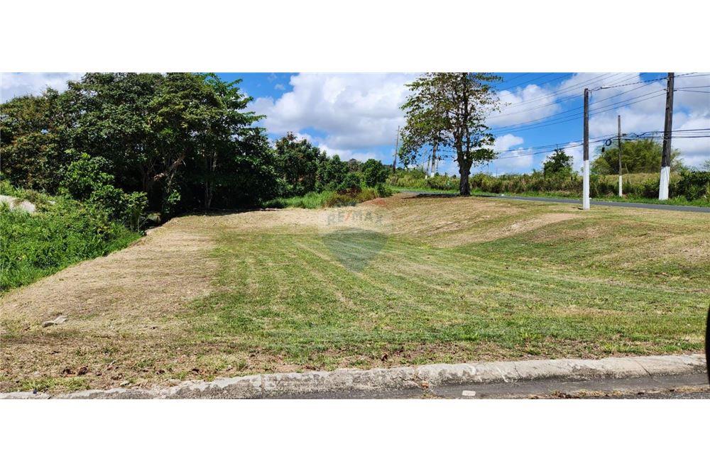 Land - For Sale - Juncos, Juncos, Puerto Rico - 3 - 90102046-20