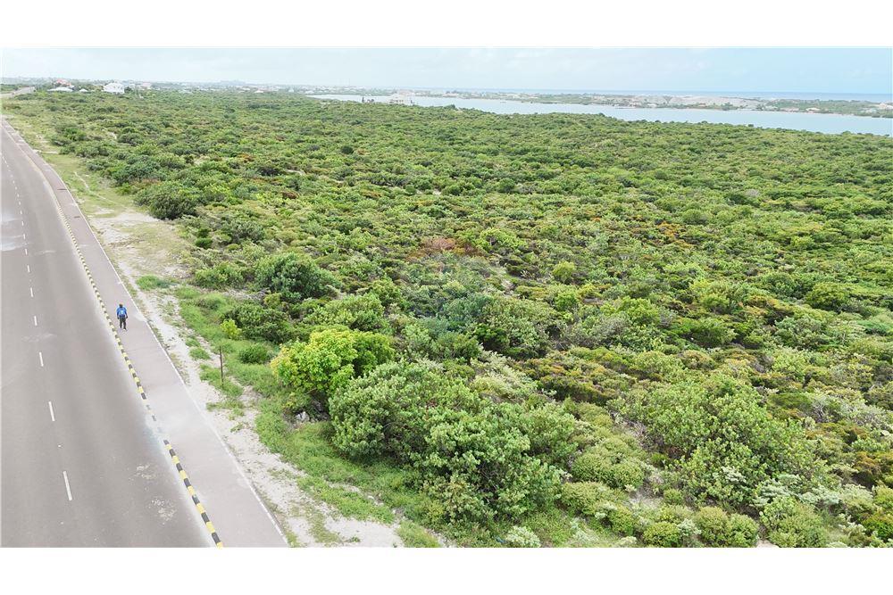 Land - For Sale - North Creek, Grand Turk, Turks and Caicos - 25 - 90111001-82