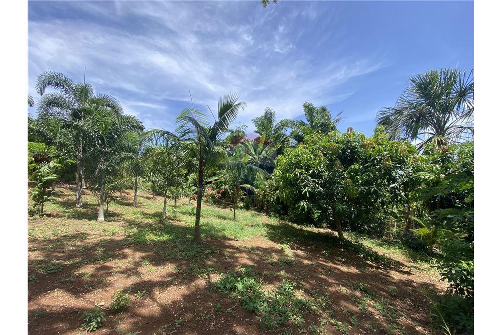 Land - For Sale - Utila, Bay Islands, Honduras - 8 - 90182002-606