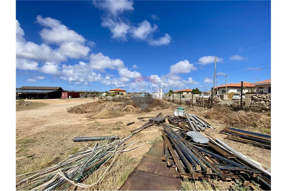 Grondstuk - Te Koop - Santa Cruz, Aruba, Aruba - 55215 - 90105001-163