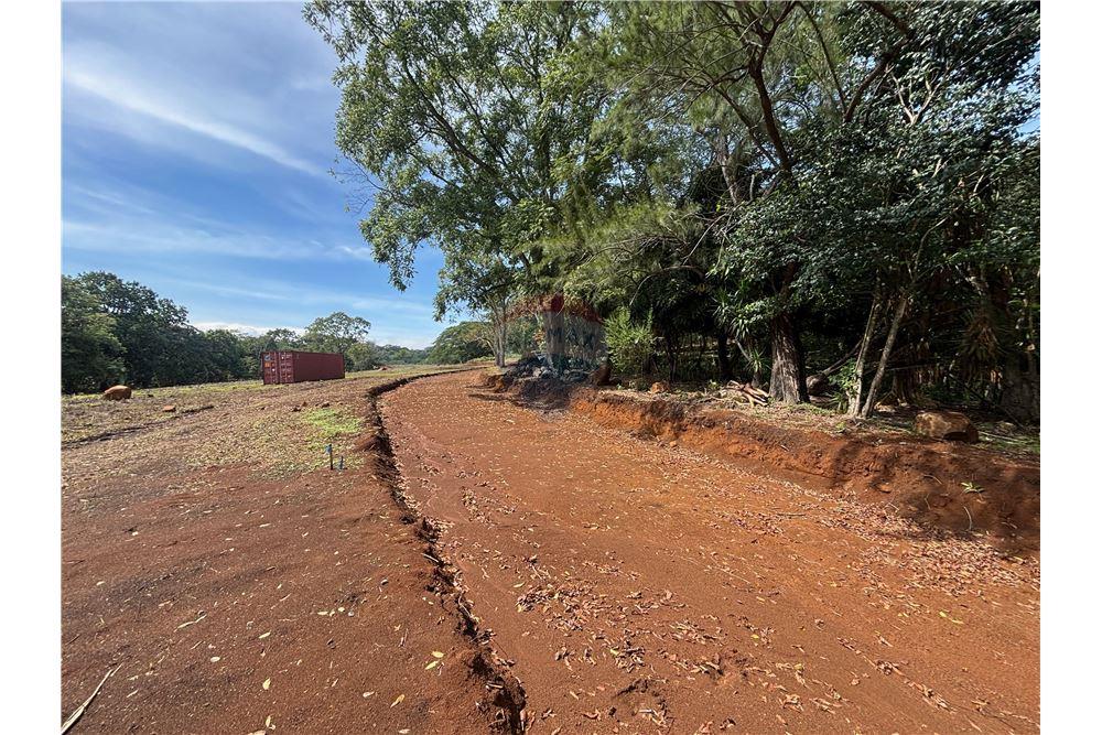 Land - For Sale - Atenas, Alajuela- Atenas, Costa Rica - 13 - 90128002-974