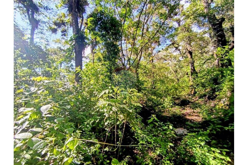 Land - For Sale - La Antigua Guatemala, Sacatepéquez, Guatemala - 2 - 90129016-49