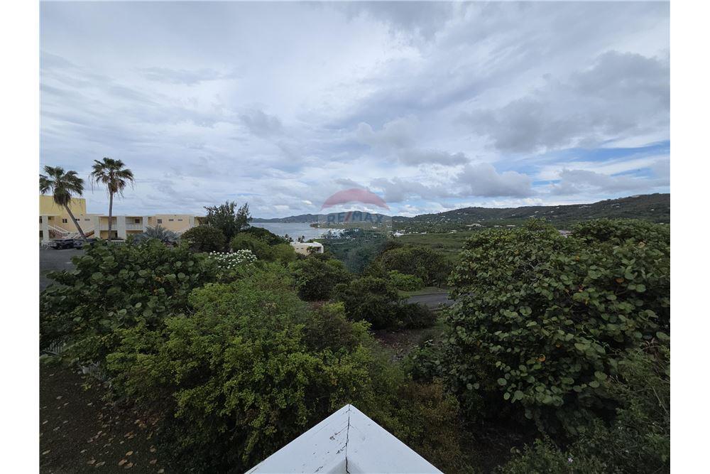 Villa - Te Koop - Saint John, St Croix, US Virgin Islands - 16 - 90123019-6