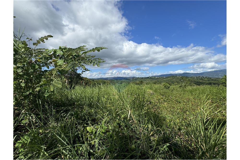 Land - For Sale - Juncos, Juncos, Puerto Rico - 4 - 90102046-21