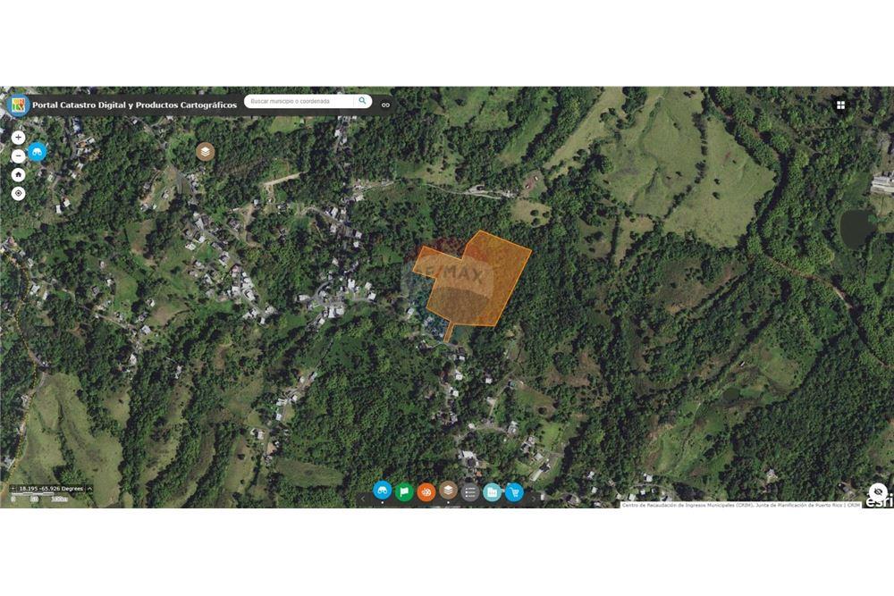 Land - For Sale - Juncos, Juncos, Puerto Rico - 2 - 90102046-21