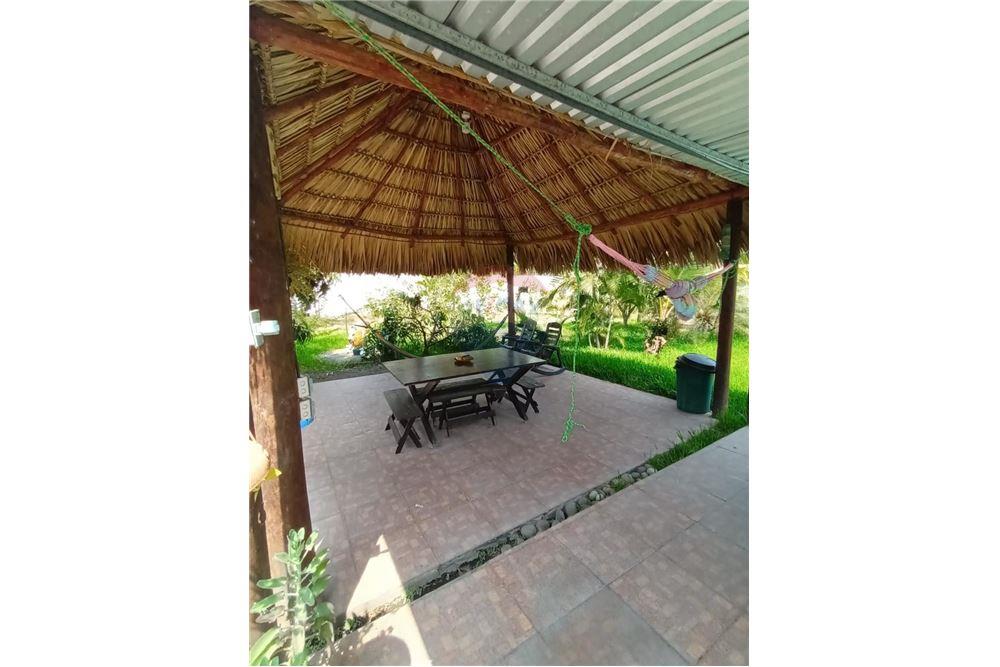 Sale of Business - For Sale - Escuintla, Escuintla, Guatemala - 6 - 902691017-4