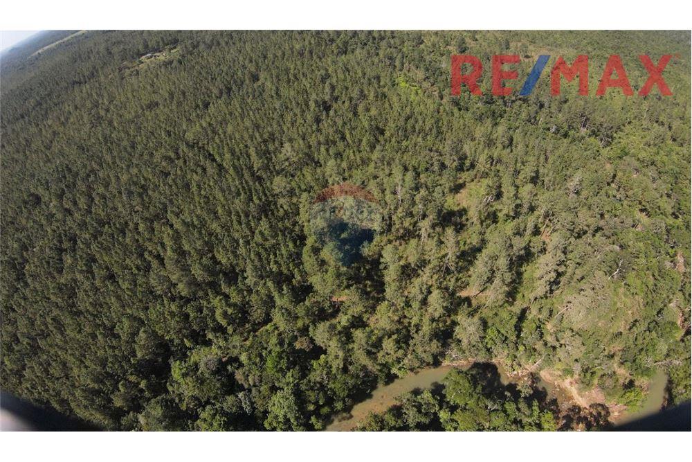 Lote - Venta - Poptún, Petén, Guatemala - 2 - 902691018-30