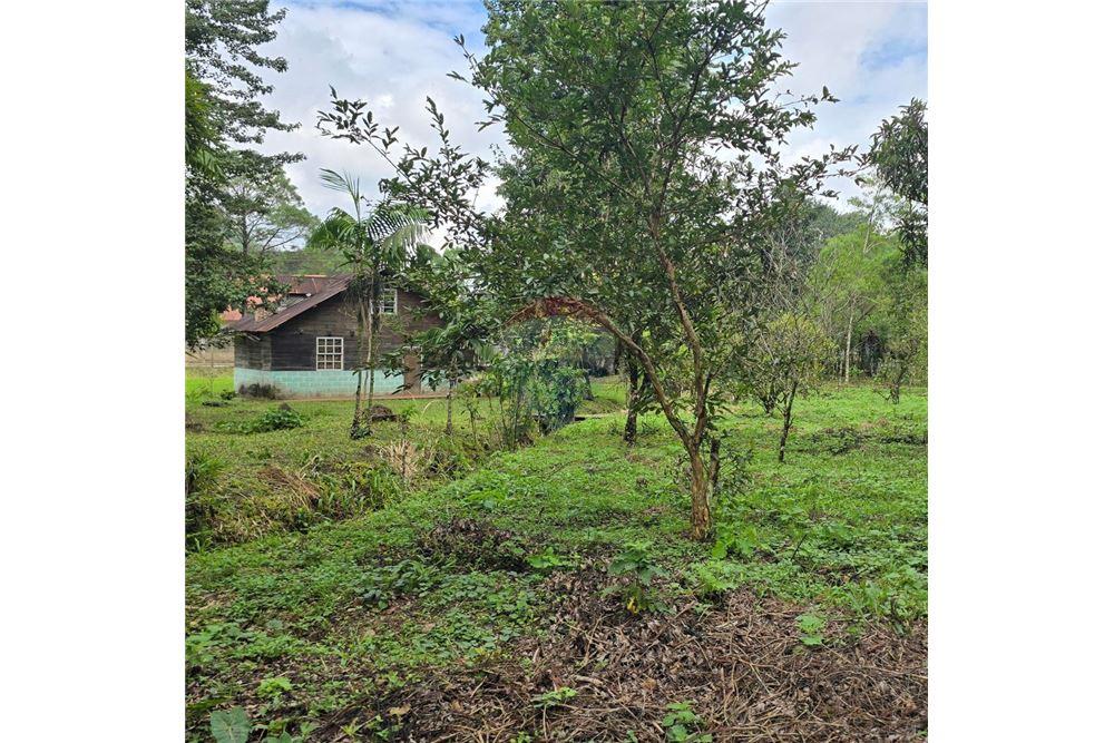 Land - For Sale - San Juan Chamelco, Alta Verapaz, Guatemala - 5 - 902611001-94