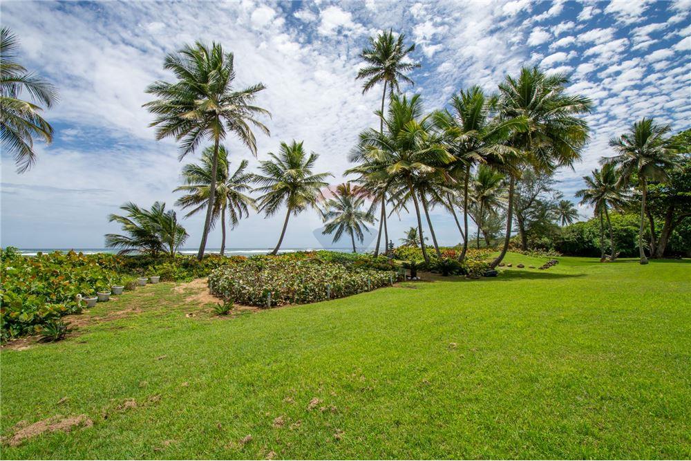 Apartamento/Condominio - Venta - Bo Yeguada, Vega Baja, Puerto Rico - 30 - 90107007-120