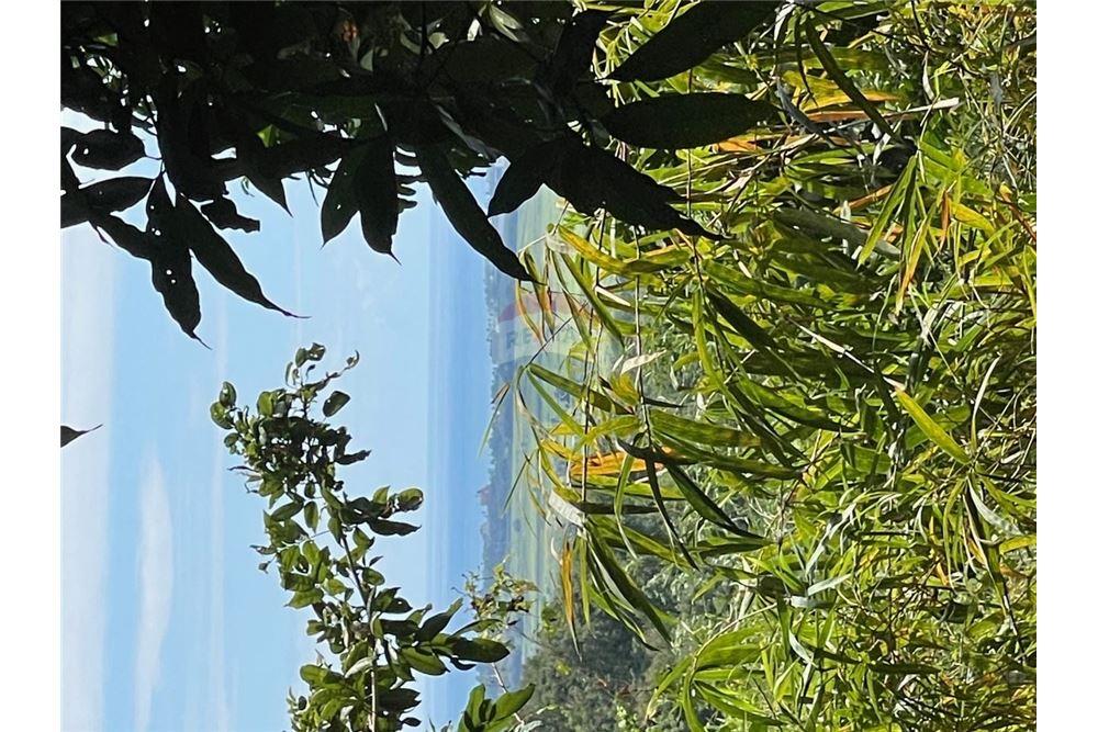 Land - For Sale - Yabucoa, Yabucoa, Puerto Rico - 1 - 90102037-11