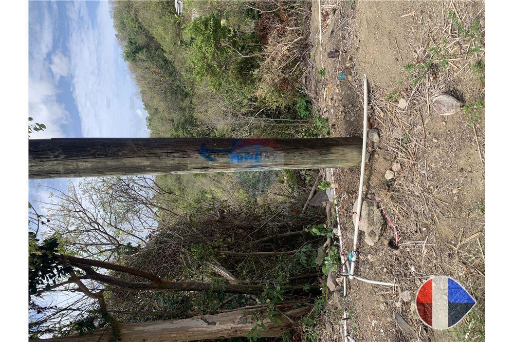 Grondstuk - Te Koop - Anse La Raye, Anse-la-Raye, St Lucia - 14 - 902071001-195