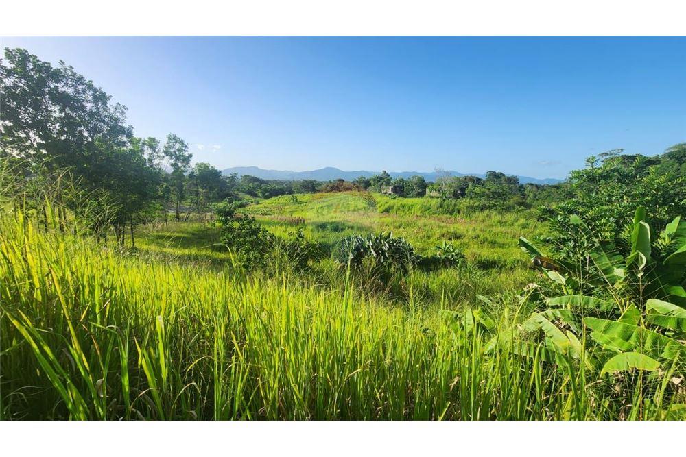 Grondstuk - Te Koop - Las Lomas, Caroni, Trinidad and Tobago - 3 - 902551007-7