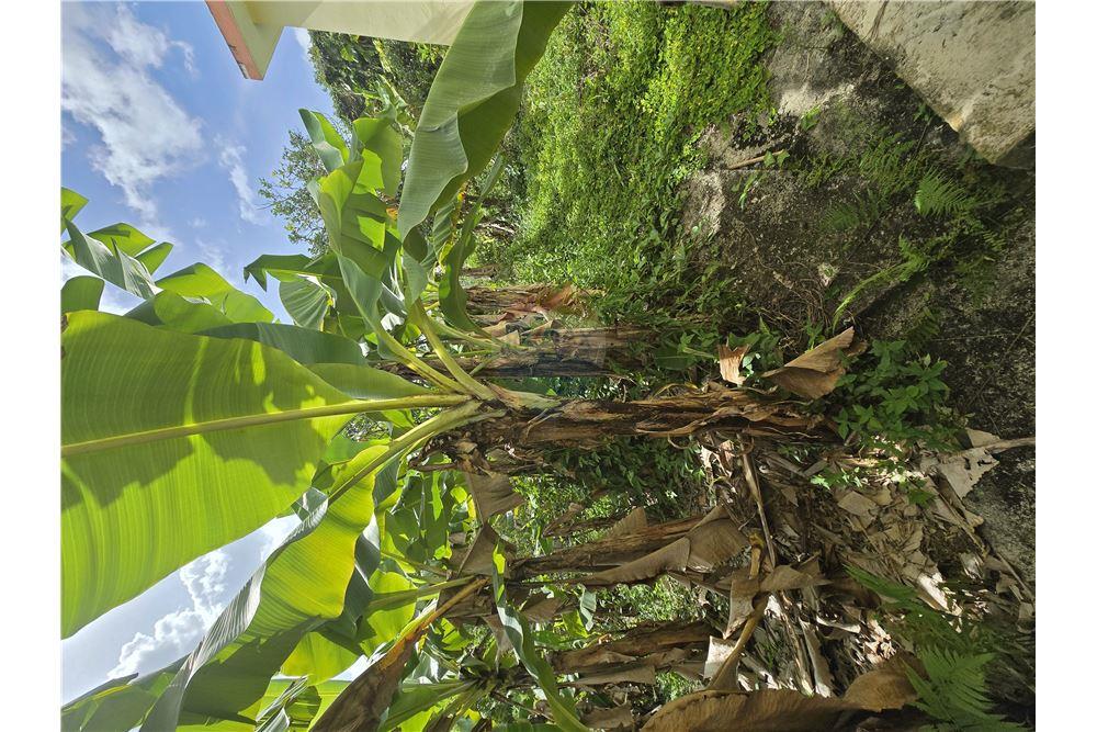 Villa - For Sale - Cayey, Cayey, Puerto Rico - 10 - 90102025-339