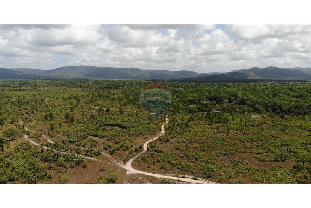 Land - For Sale - Georgetown, Stann Creek District, Belize - 2 - 901911013-56
