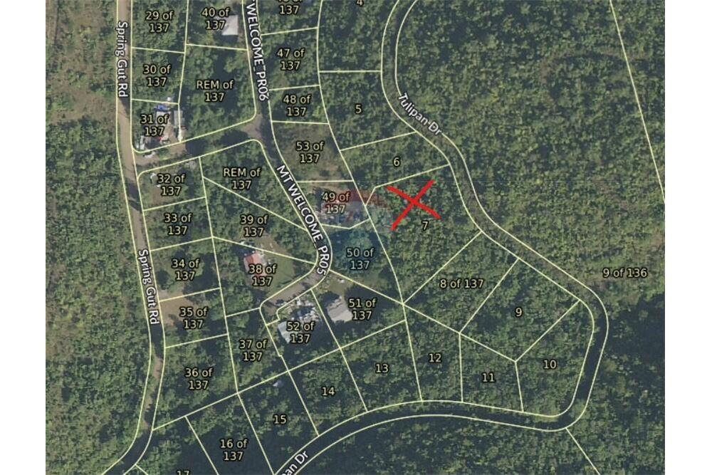 Lote - Venta - Mount Welcome Estate, St Croix, Islas Vírgenes Británicas - 8 - 90123001-1313