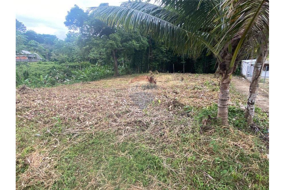 Lote - Venta - Sangre Grande, Saint Andrew, Trinidad and Tobago - 10 - 90155109-184