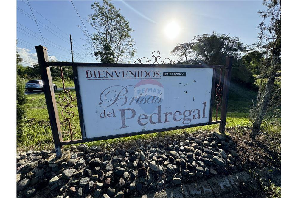 Land - For Sale - Juncos, Juncos, Puerto Rico - 7 - 90102046-20
