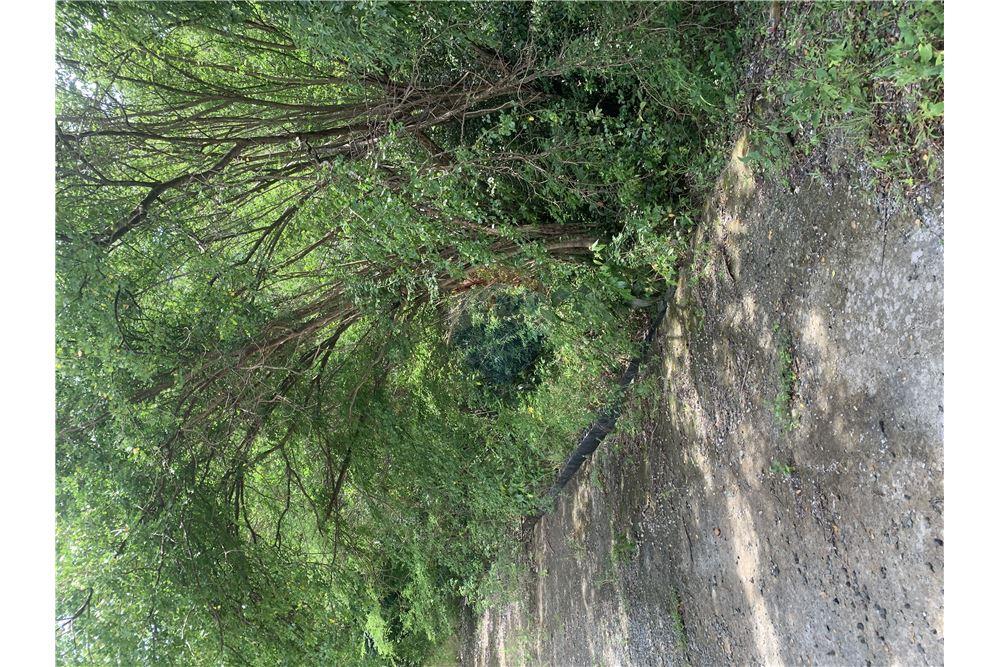 Grondstuk - Te Koop - Gros Islet, Gros-Islet, St Lucia - 1 - 902071001-212