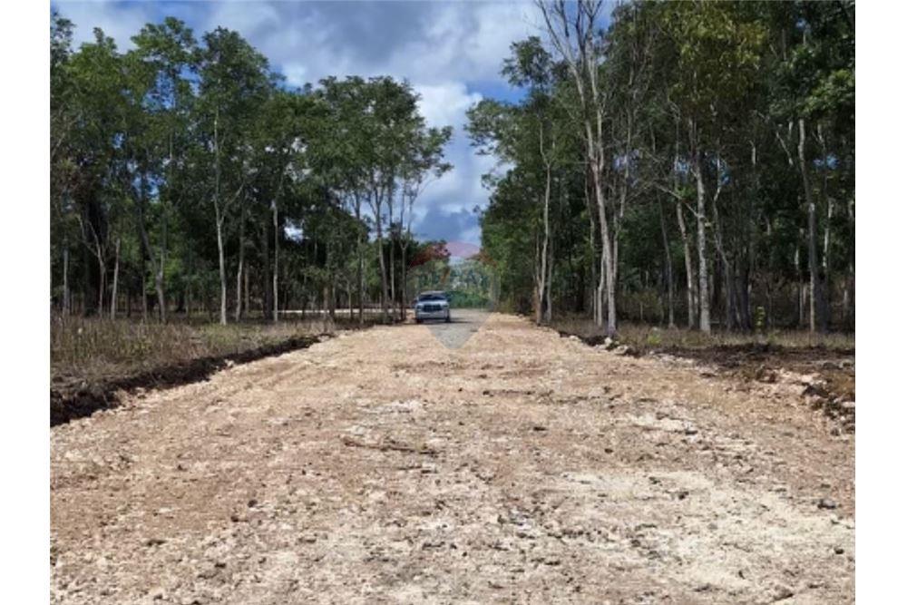 Land - For Sale - San Francisco, Petén, Guatemala - 7 - 902691018-26