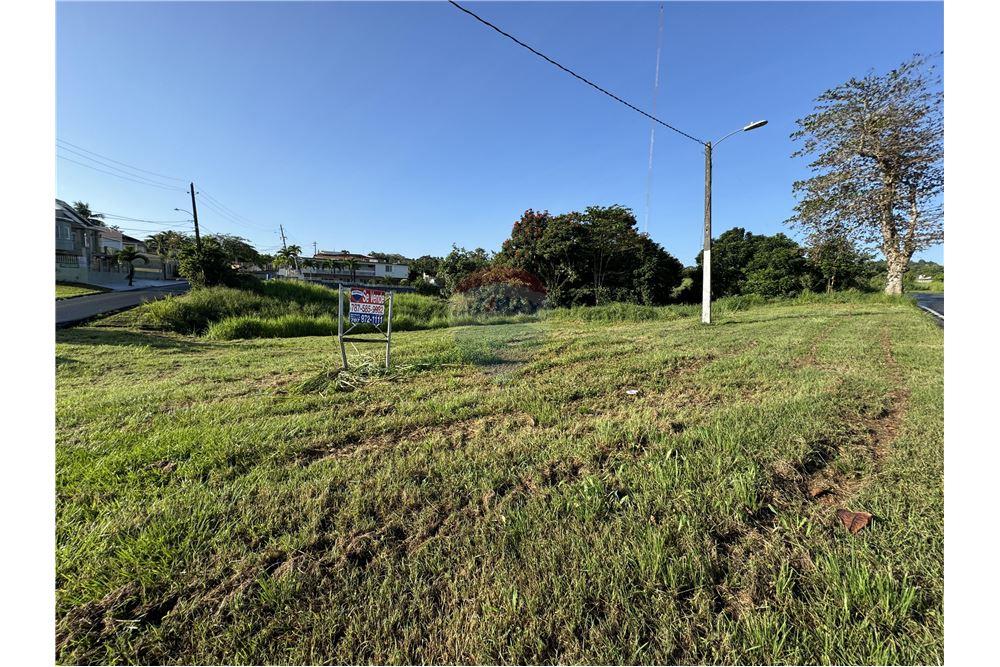Land - For Sale - Juncos, Juncos, Puerto Rico - 5 - 90102046-20