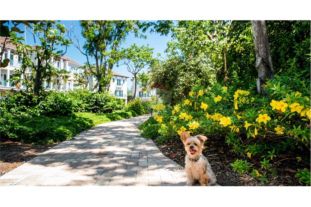 Condo/Apartment - For Sale - W Bay Bch North, West Bay, Cayman Islands - 5 - 90146014-106