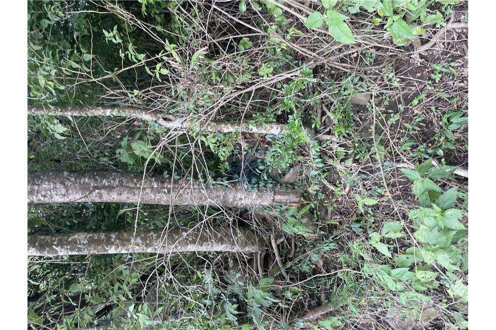 Grondstuk - Te Koop - Gros Islet, Gros-Islet, St Lucia - 2 - 902071001-213