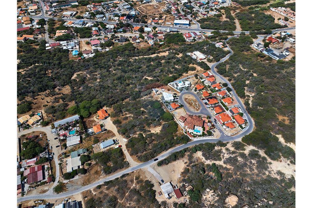 Grondstuk - Te Koop - Santa Cruz, Aruba, Aruba - 10 - 90105005-512