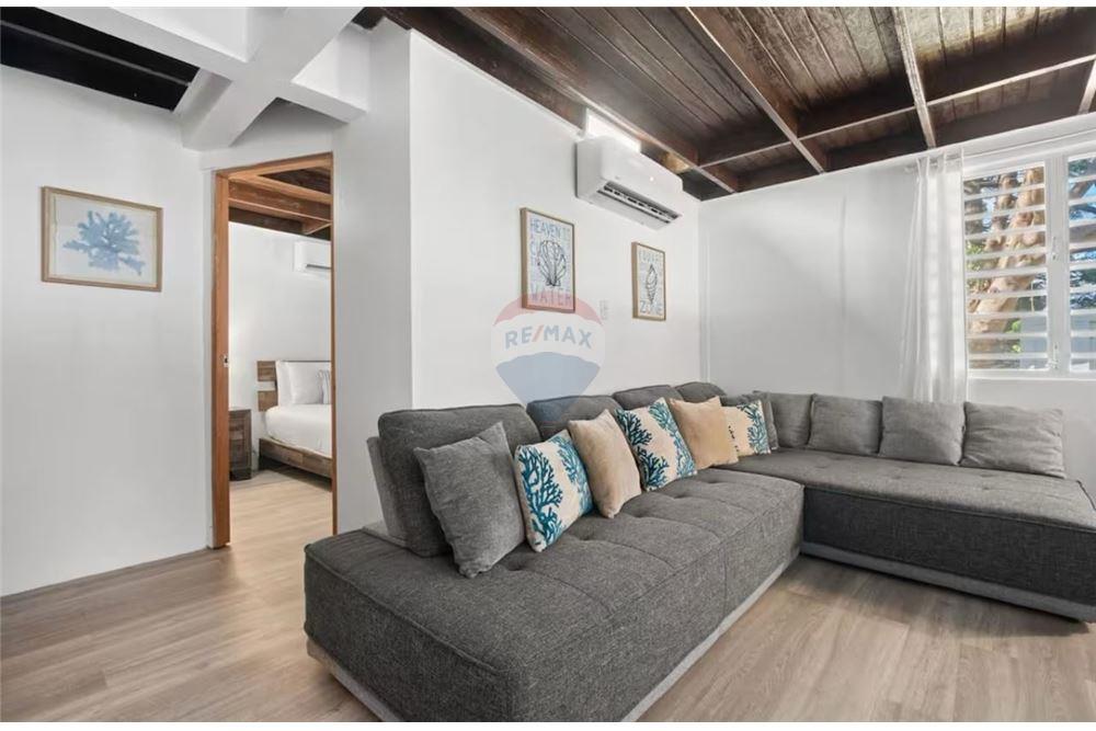 Multi-Family - For Sale - Naguabo, Naguabo, Puerto Rico - 5 - 90102037-10