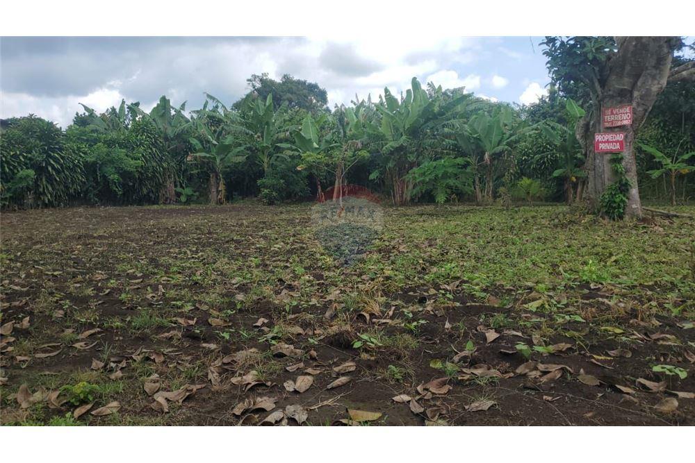 Land - For Sale - Jinotepe, Carazo, Nicaragua - 1 - 902681003-18