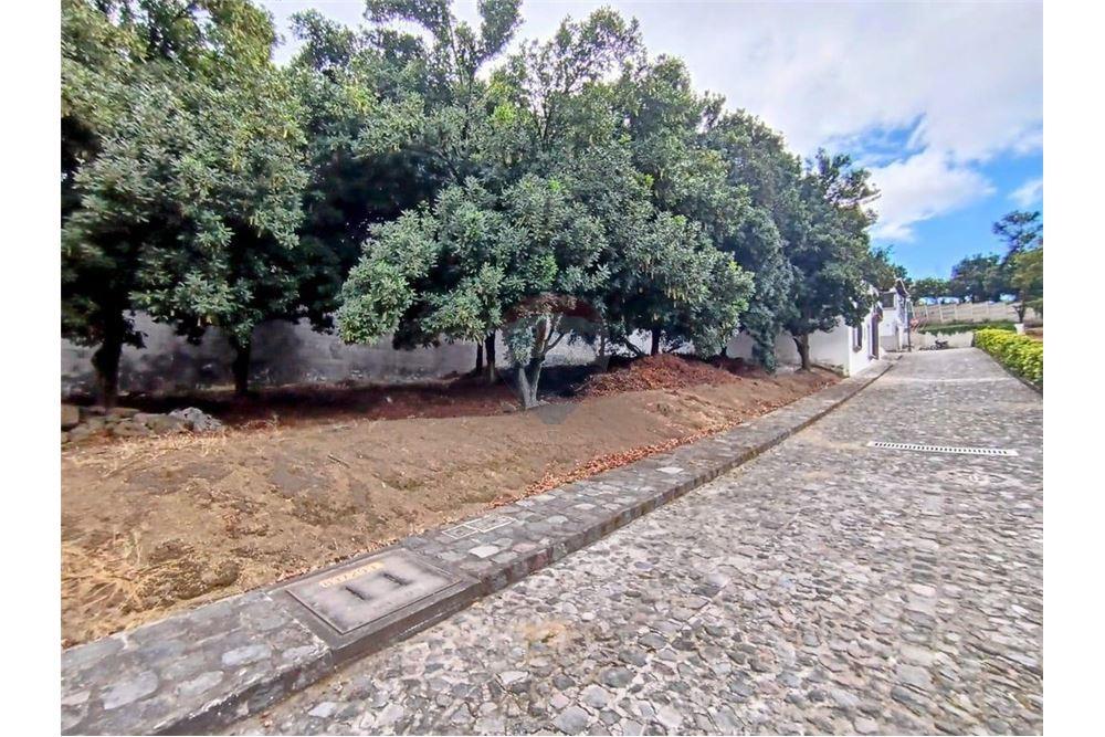 Land - For Sale - San Miguel Dueñas, Sacatepéquez, Guatemala - 1 - 90129016-7