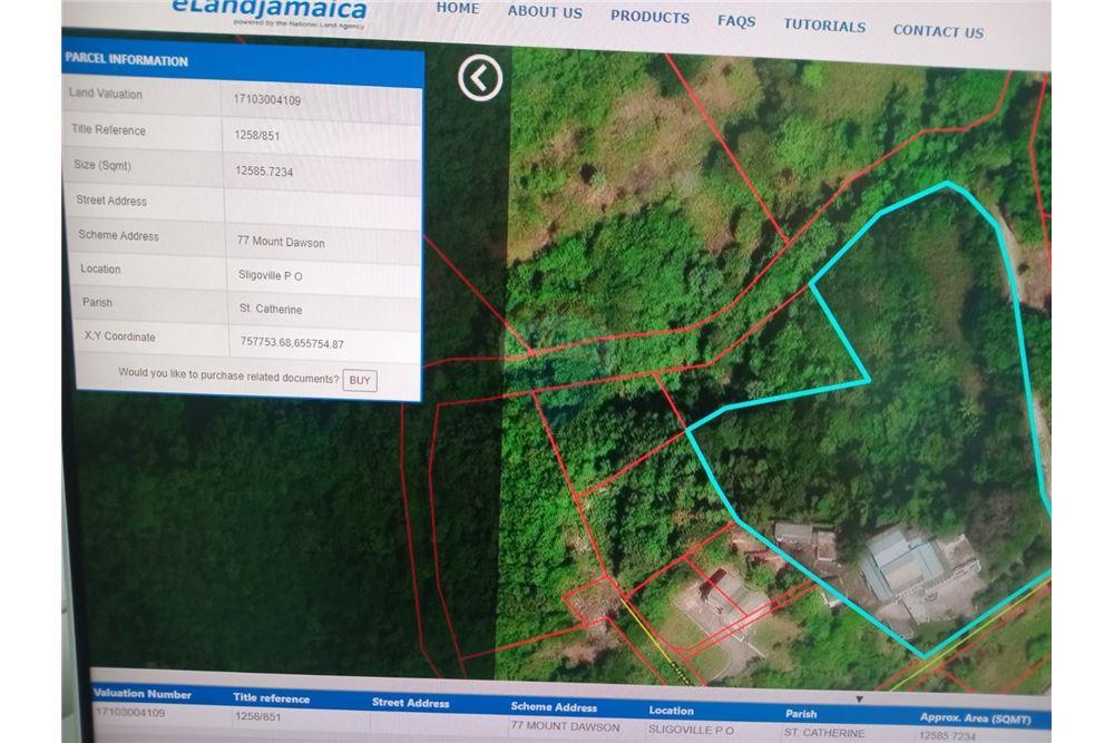 Villa - For Sale - Sligoville, Saint Catherine, Jamaica - 2 - 901321002-11