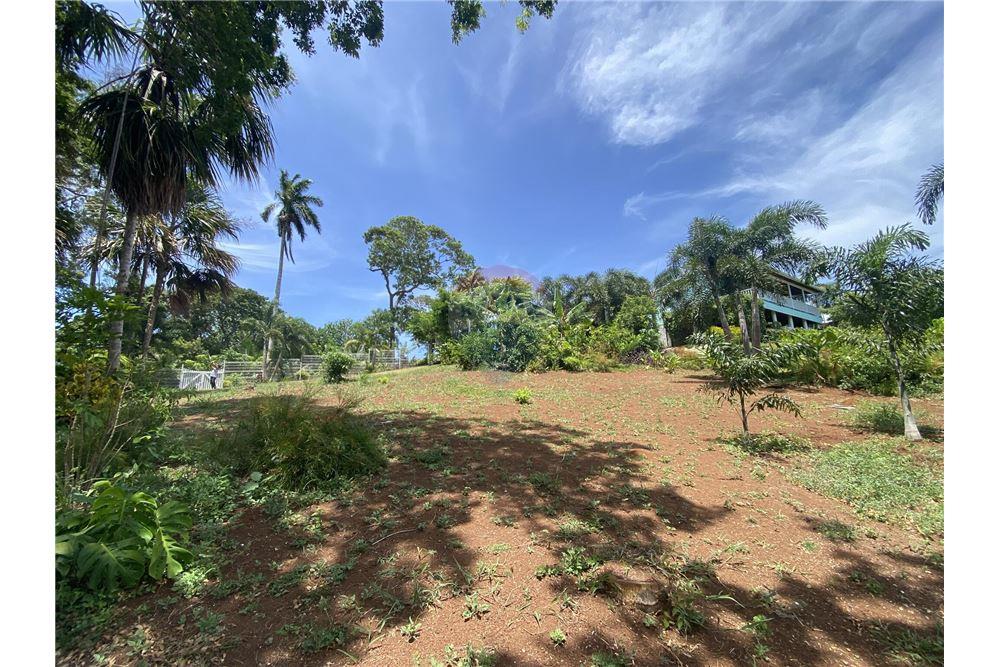 Land - For Sale - Utila, Bay Islands, Honduras - 12 - 90182002-607