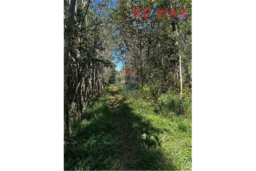 Lote - Venta - Poptún, Petén, Guatemala - 14 - 902691018-30