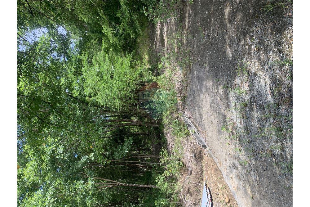 Grondstuk - Te Koop - Gros Islet, Gros-Islet, St Lucia - 16 - 902071001-212