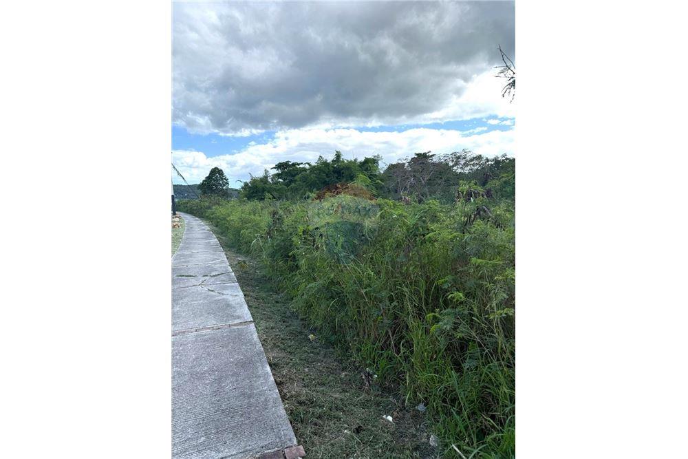 Lote - Venta - Yauco, Yauco, Puerto Rico - 3 - 90102025-332