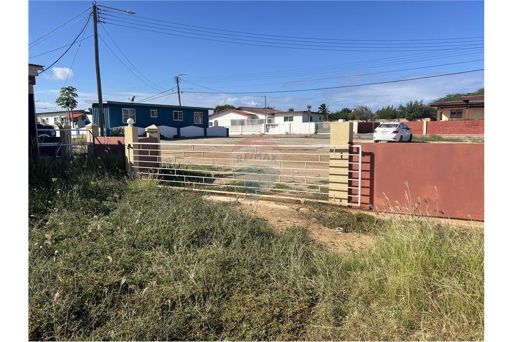 Bedrijfsmatig / Detailhandel - Te Koop - Sint Nicolaas, Aruba, Aruba - 53941 - 90105035-27