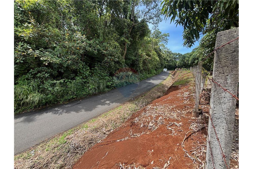 Land - For Sale - Atenas, Alajuela- Atenas, Costa Rica - 7 - 90128002-974